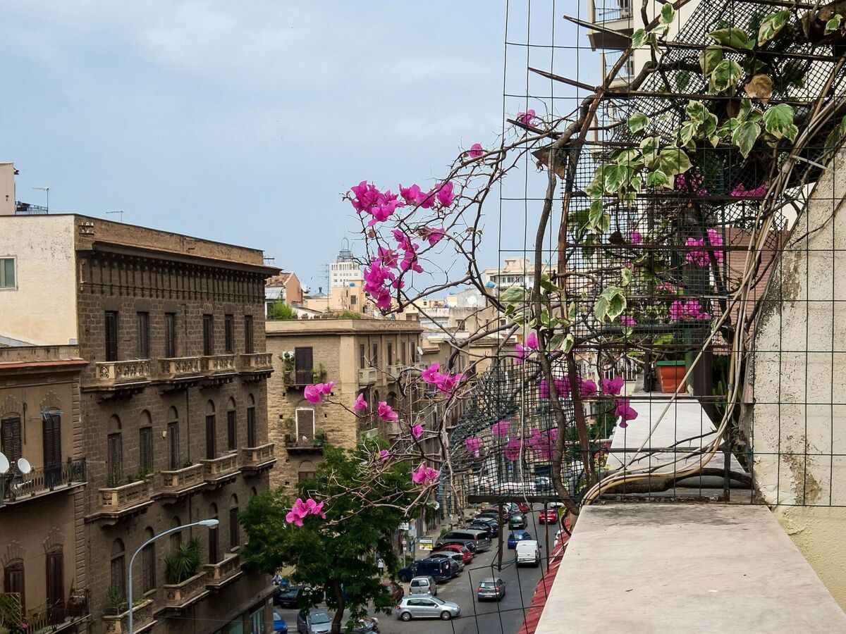 Penthouse avec terrasse fleurie à Palermo - Photo 30