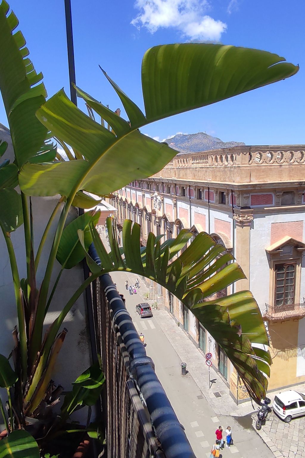 La Terrazza di Massimo - Penthouse Palerme - Photo 11