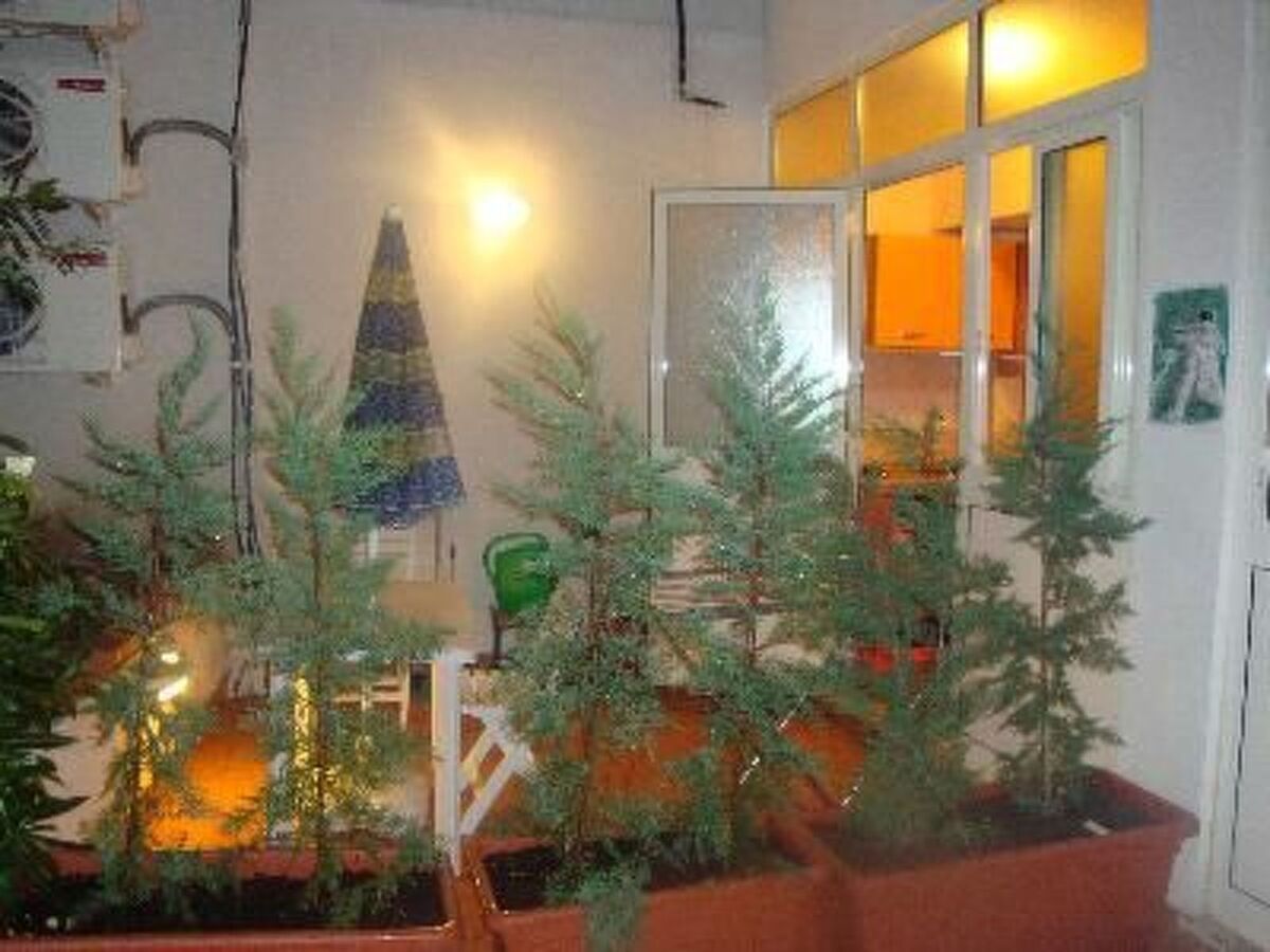 Appartement 4 pers. à Palermo avec terrasse privée - Photo 13