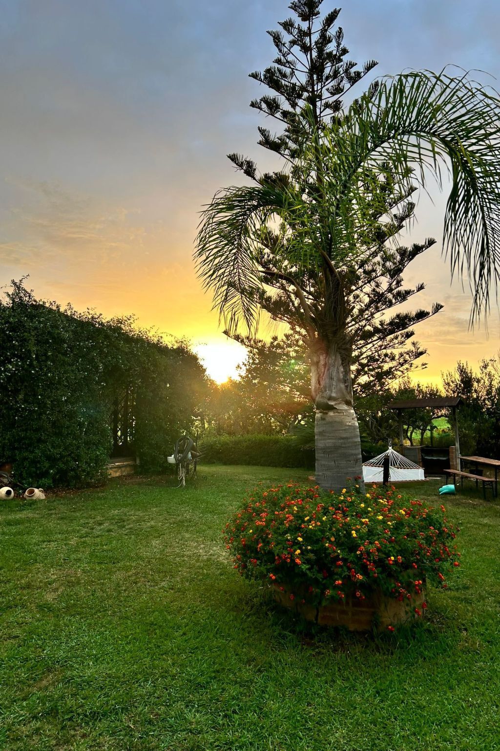 Maison de campagne avec piscine infinity à Partinico - Photo 14