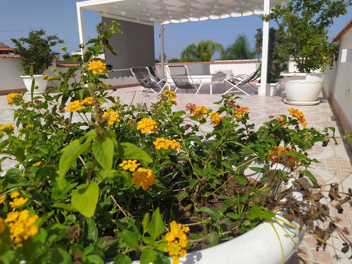 Casa Gaetano – Maison 6 pers. avec piscine à Balestrate - Photo 50