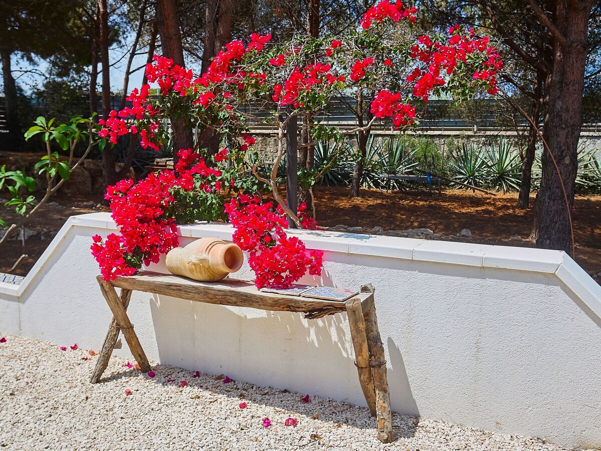 Villa Marinjo – Maison 6 pers. à Alcamo, vue mer - Photo 27