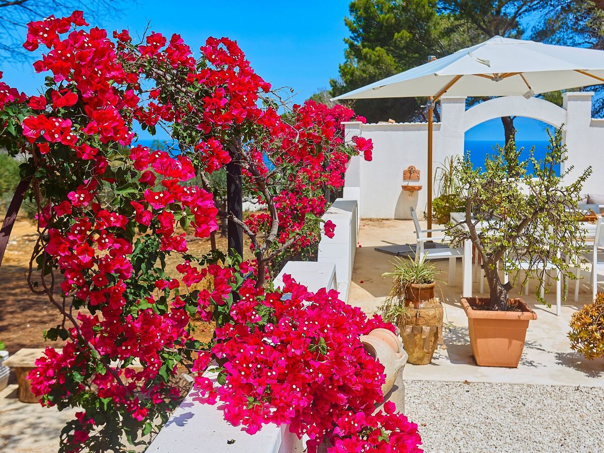 Villa Marinjo – Maison 6 pers. à Alcamo, vue mer - Photo 30
