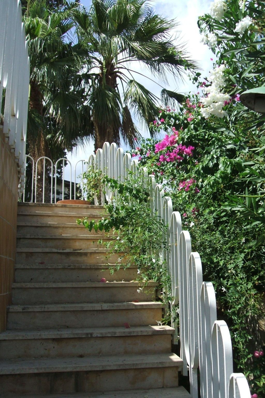 Villa Aliotis, maison 6 personnes à 200m de la plage - Photo 3