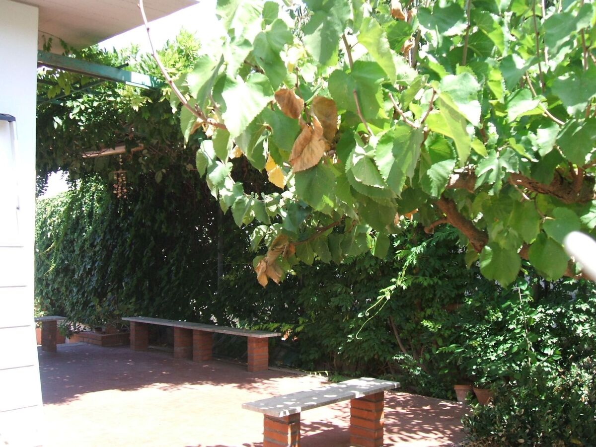 Villa Aliotis, maison 6 personnes à 200m de la plage - Photo 8