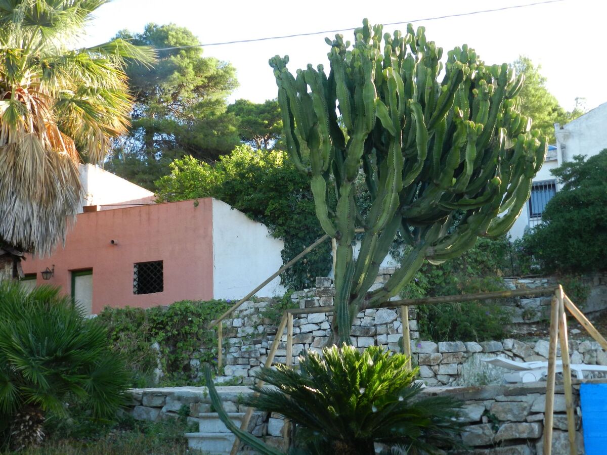 Baglio Pozzo Rocca – Maison avec piscine à Erice - Photo 6