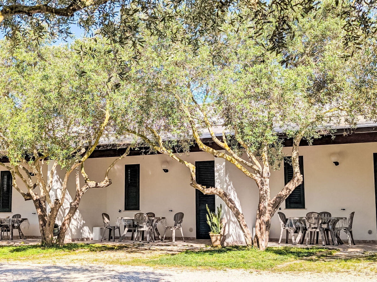Villa 4 personnes à Marsala, piscine et parking - Photo 5