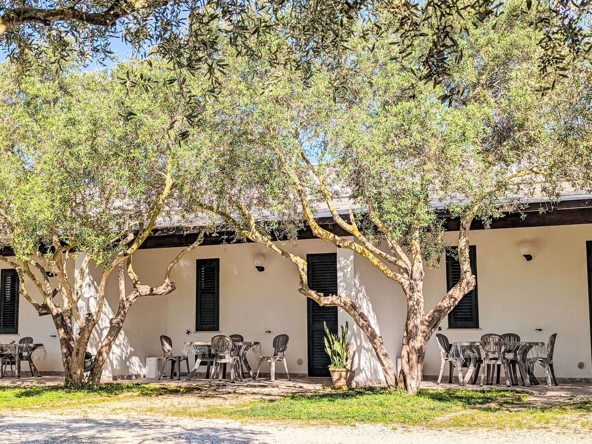 Villa 30 m² - 2 chambres à Marsala - Photo 4