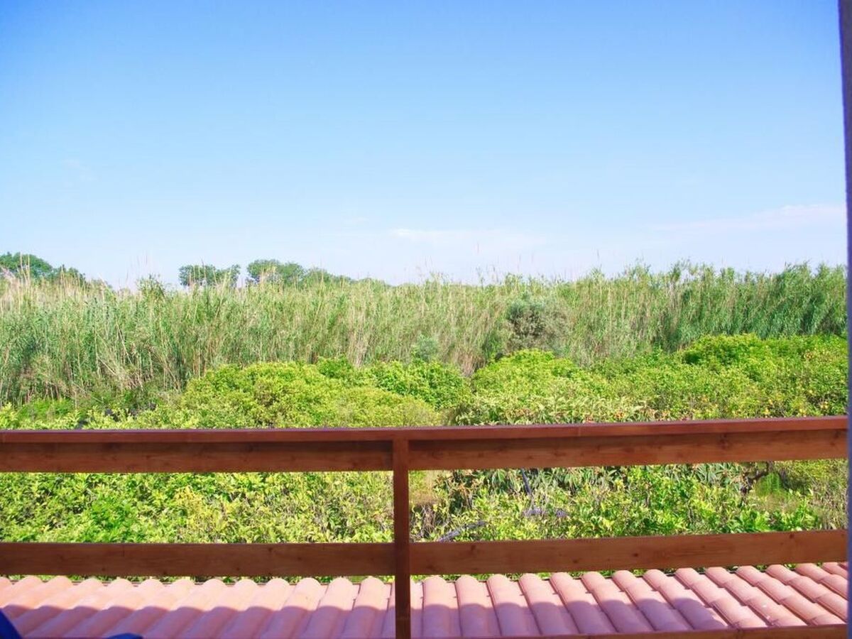 Appartement Lido Fiori, 200 m de la plage, jardin privé - Photo 13