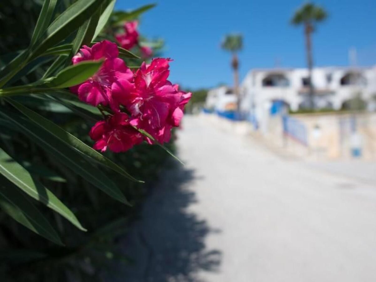 Appartement Sciacca, terrasse et accès plage 200 m - Photo 23