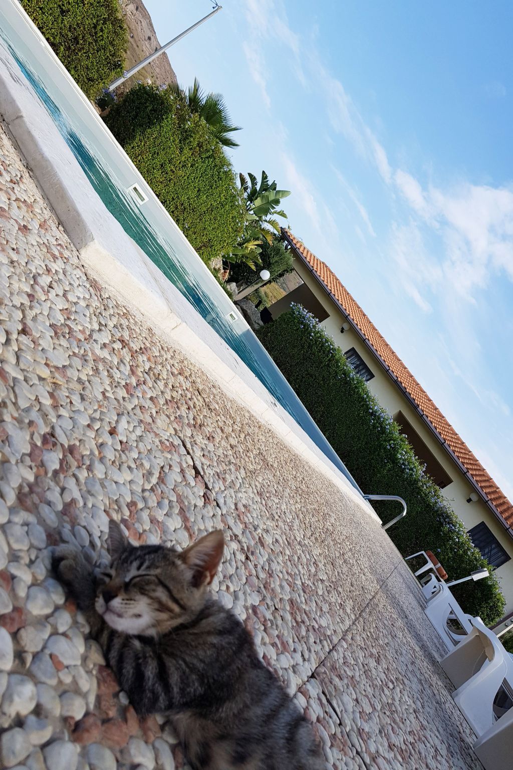 Appartement 2 chambres avec piscine près de la mer - Photo 14