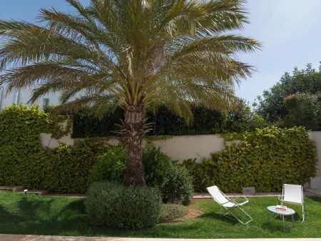 Villa 6 pers. Marina di Ragusa - Piscine & Terrasse : photo 16