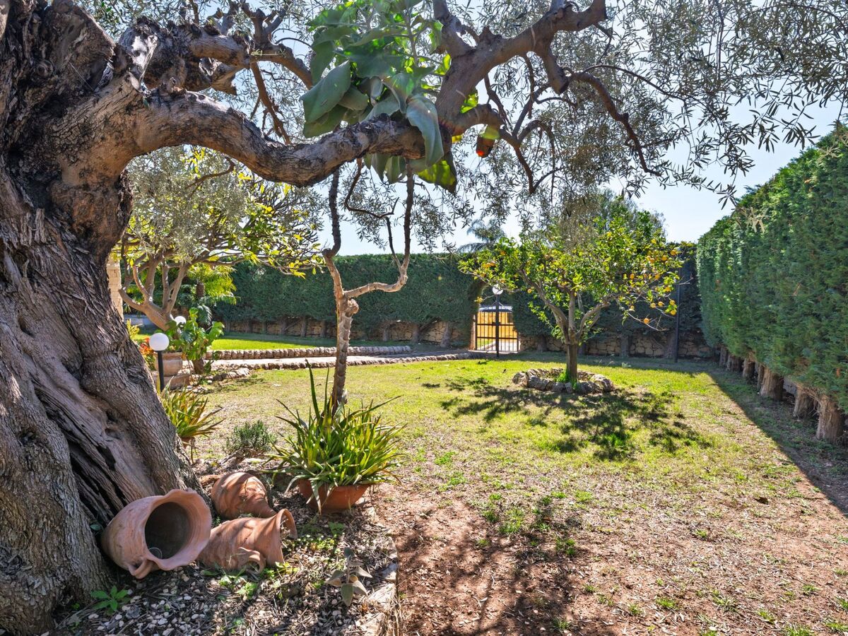 Villa Sterlizia à Scicli : piscine 11m, jardin 900m² - Photo 12
