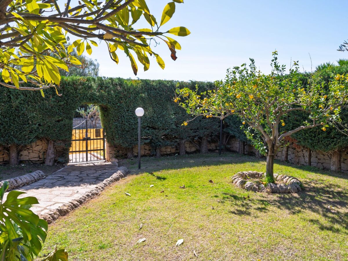 Villa Sterlizia à Scicli : piscine 11m, jardin 900m² - Photo 47