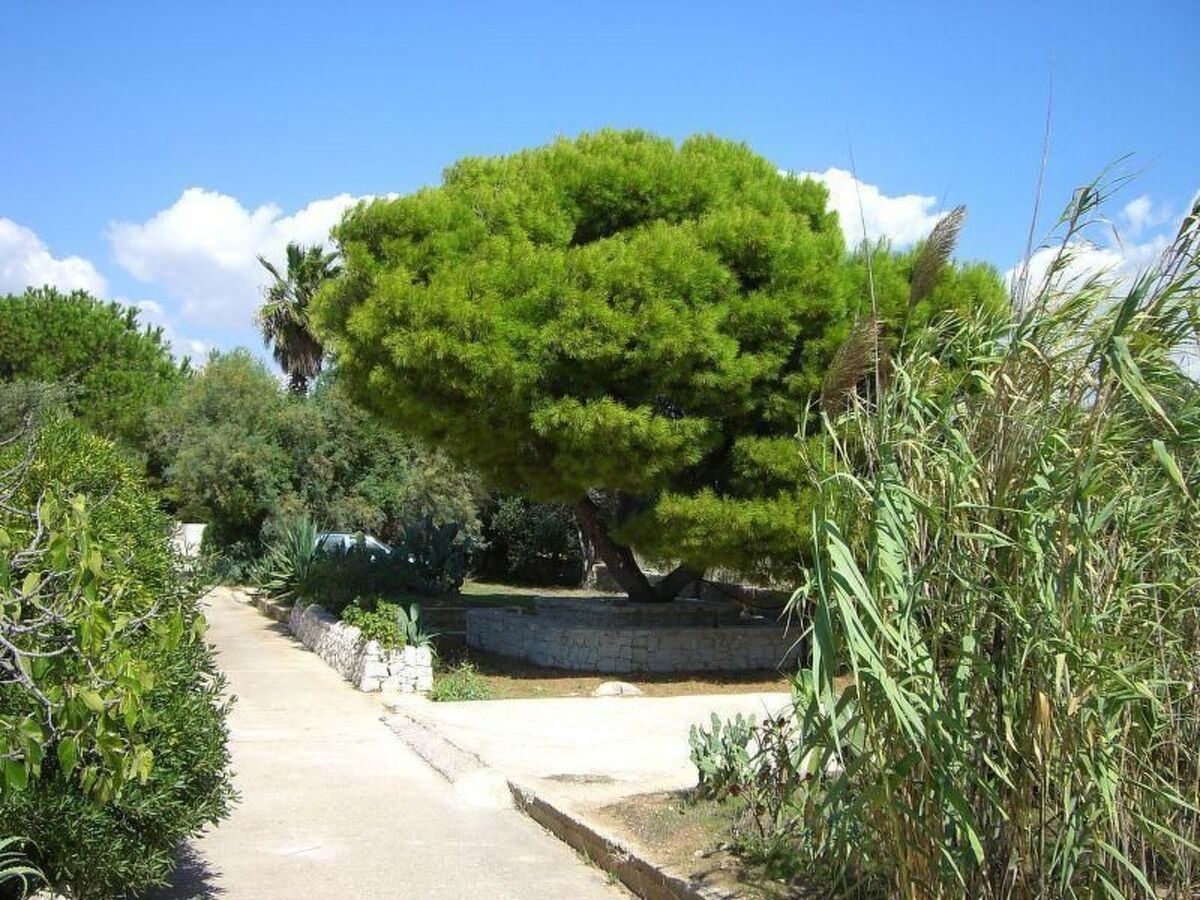 Petit appartement mériterranéen, vue mer à Marina di Modica - Photo 21