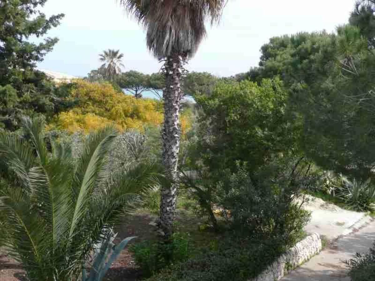 Petit appartement mériterranéen, vue mer à Marina di Modica - Photo 22