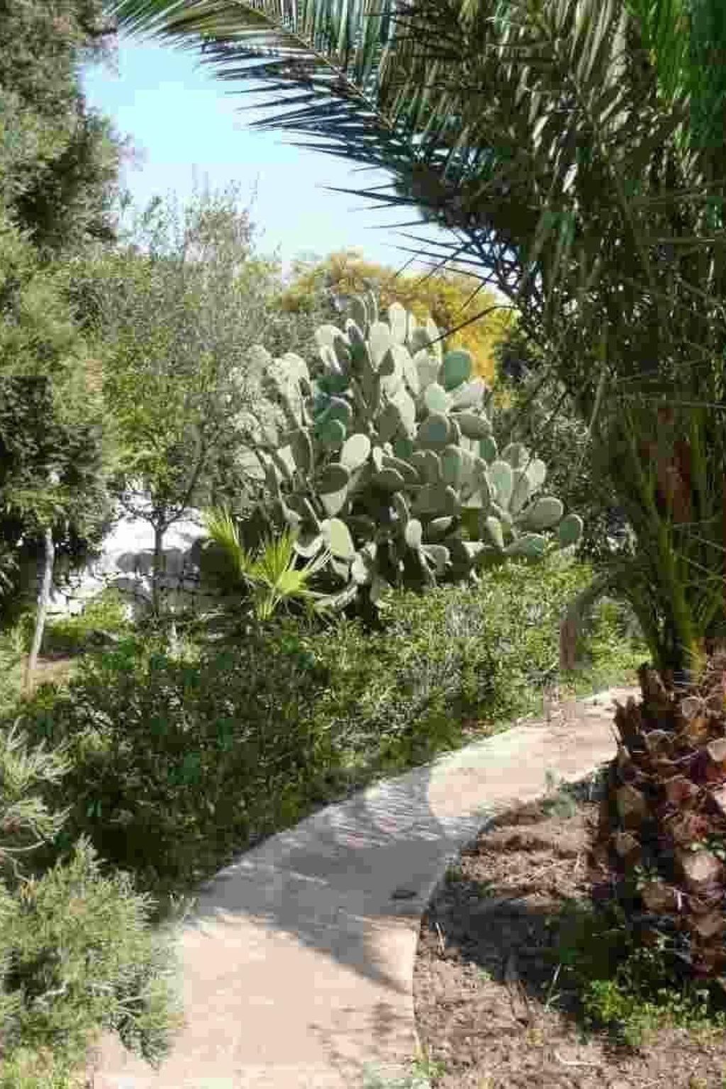 Petit appartement mériterranéen, vue mer à Marina di Modica - Photo 23