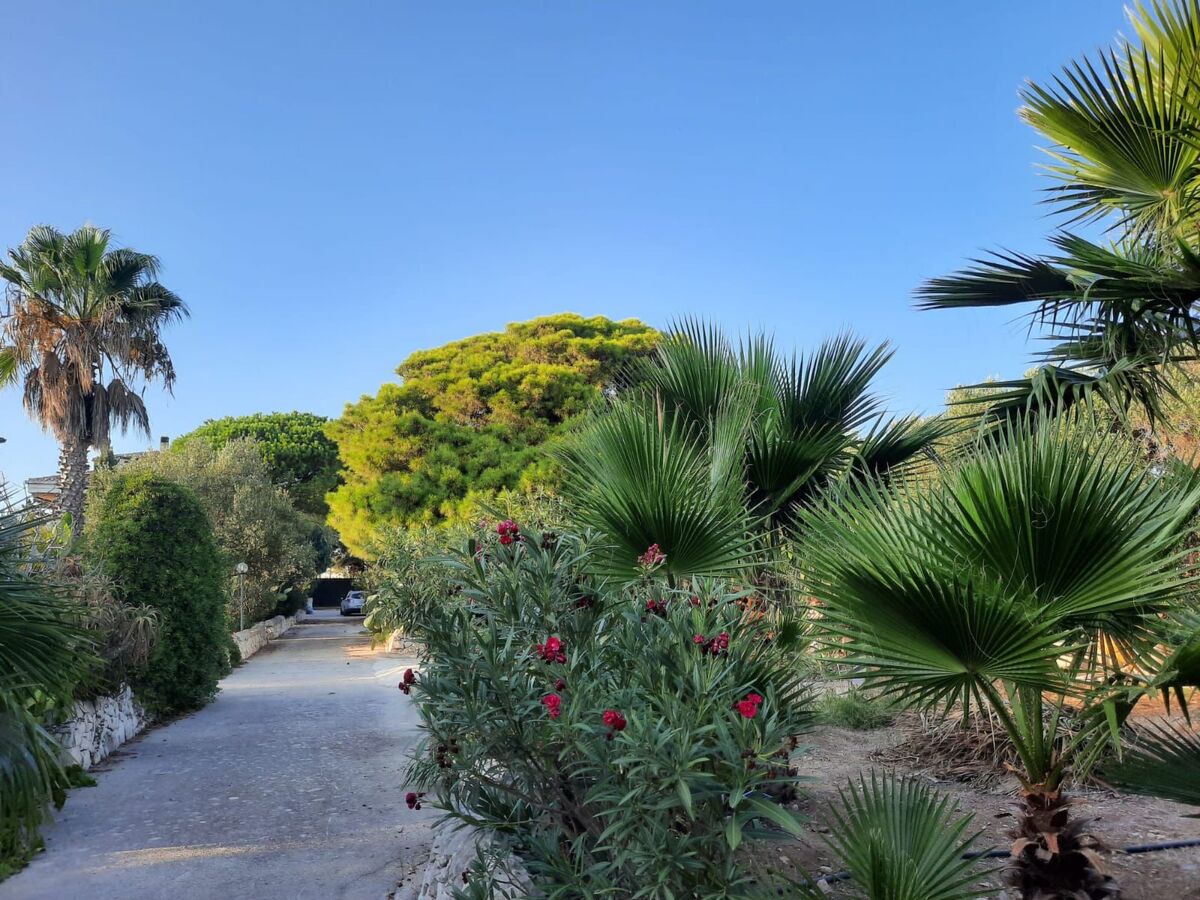 Petit appartement mériterranéen, vue mer à Marina di Modica - Photo 25