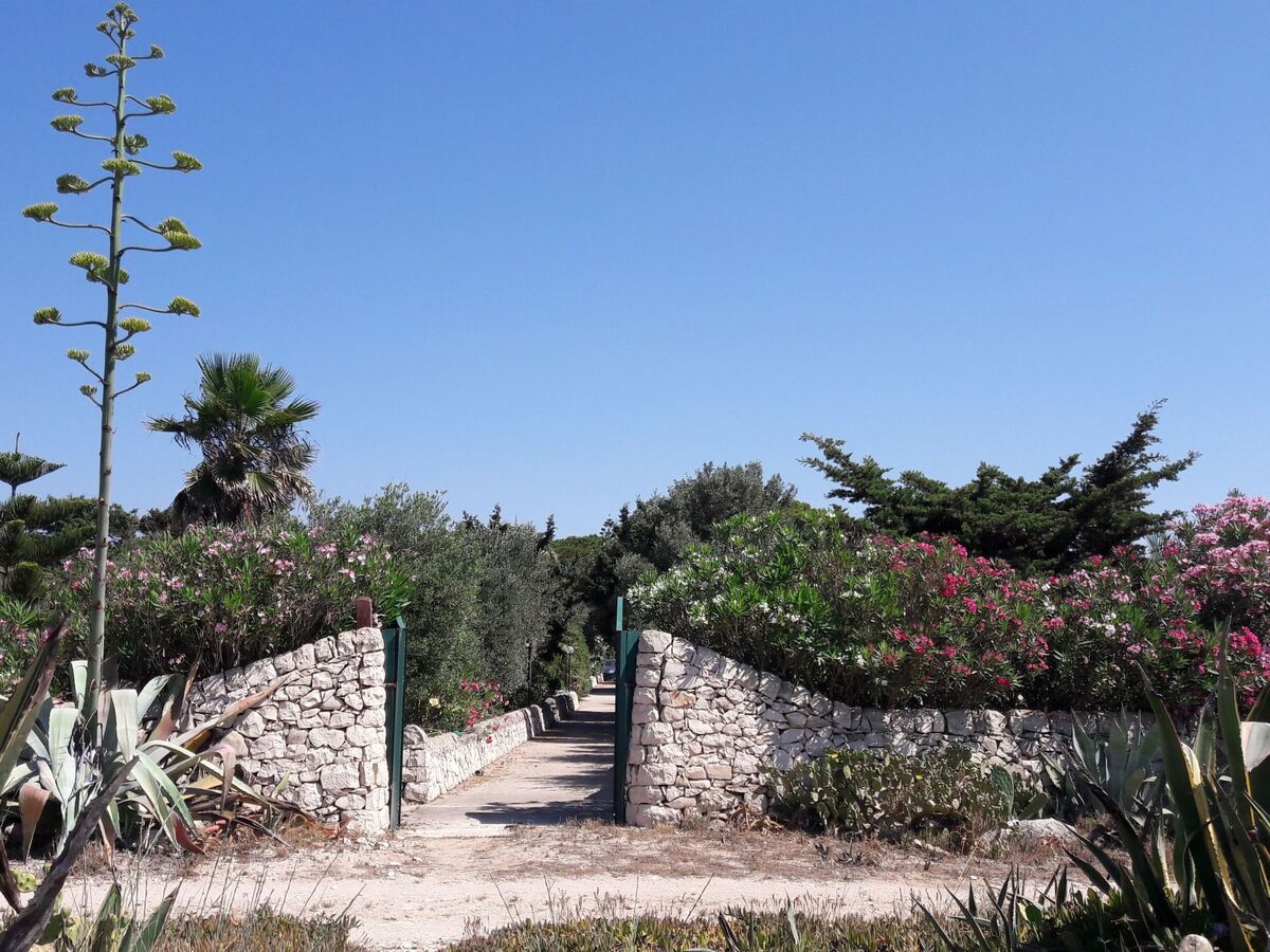 Petit appartement mériterranéen, vue mer à Marina di Modica - Photo 31