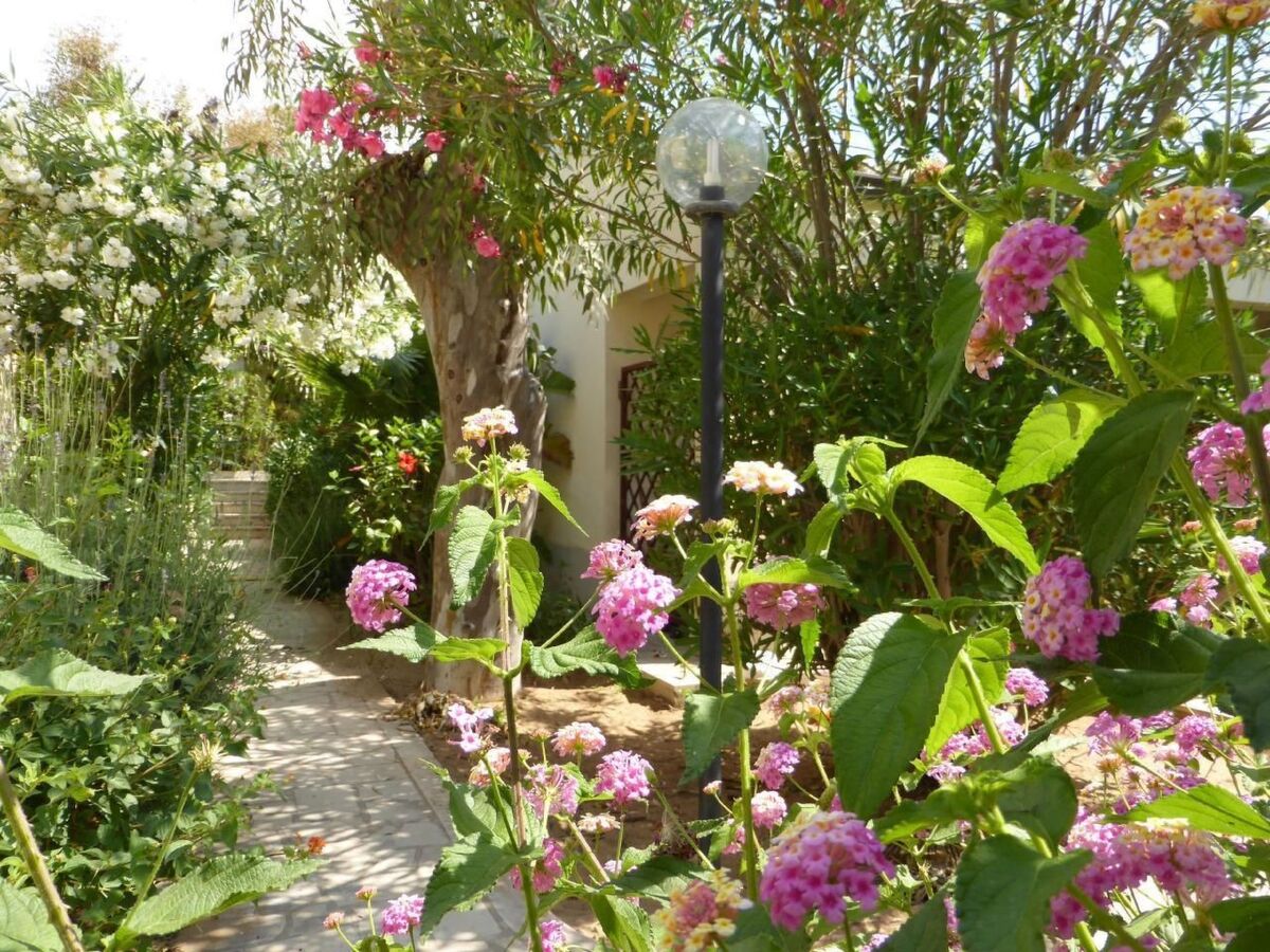 Bungalow La Perla di Sicilia à 30m de la plage - Photo 33