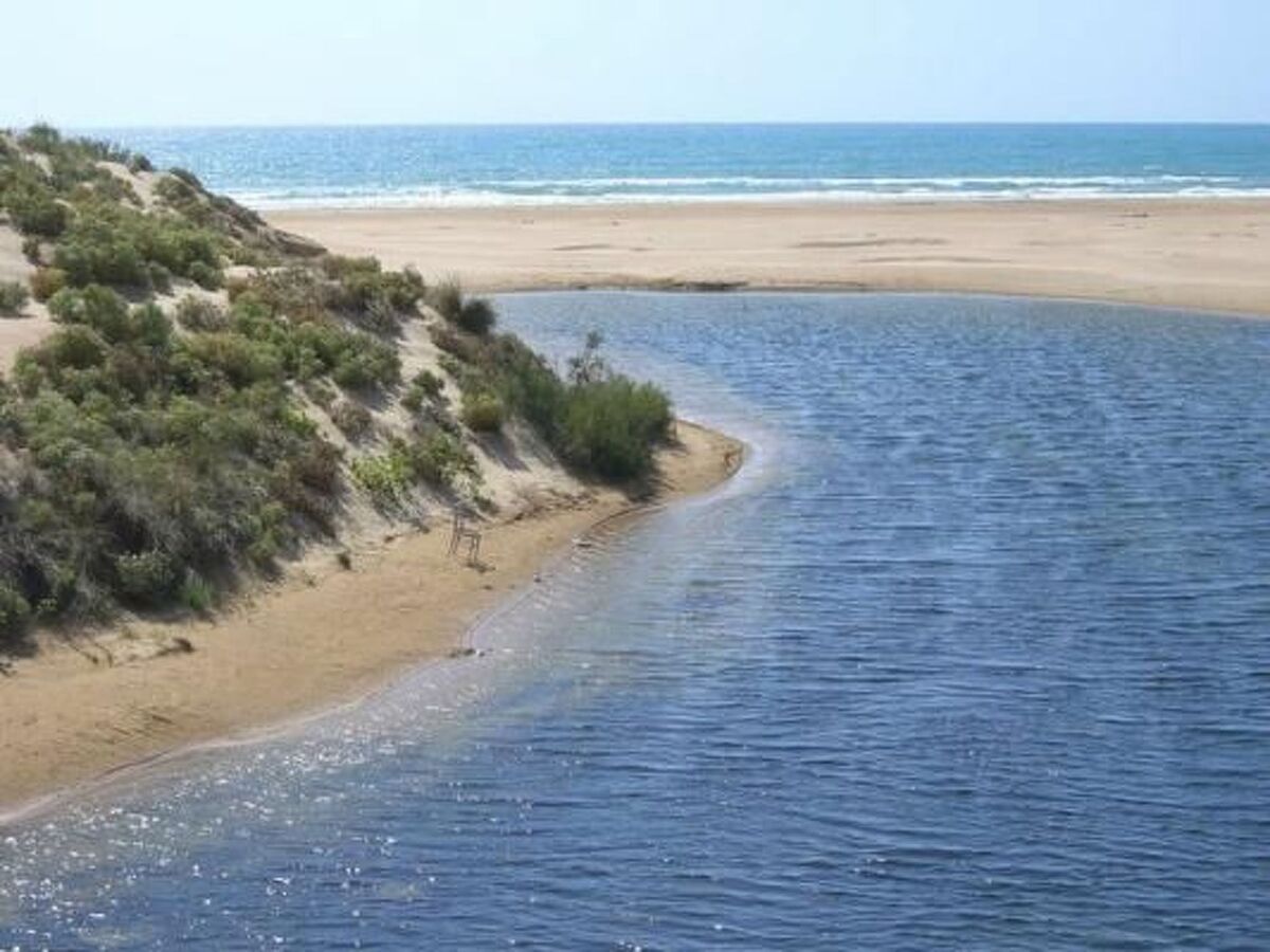 Bungalow La Perla di Sicilia à 30m de la plage - Photo 40