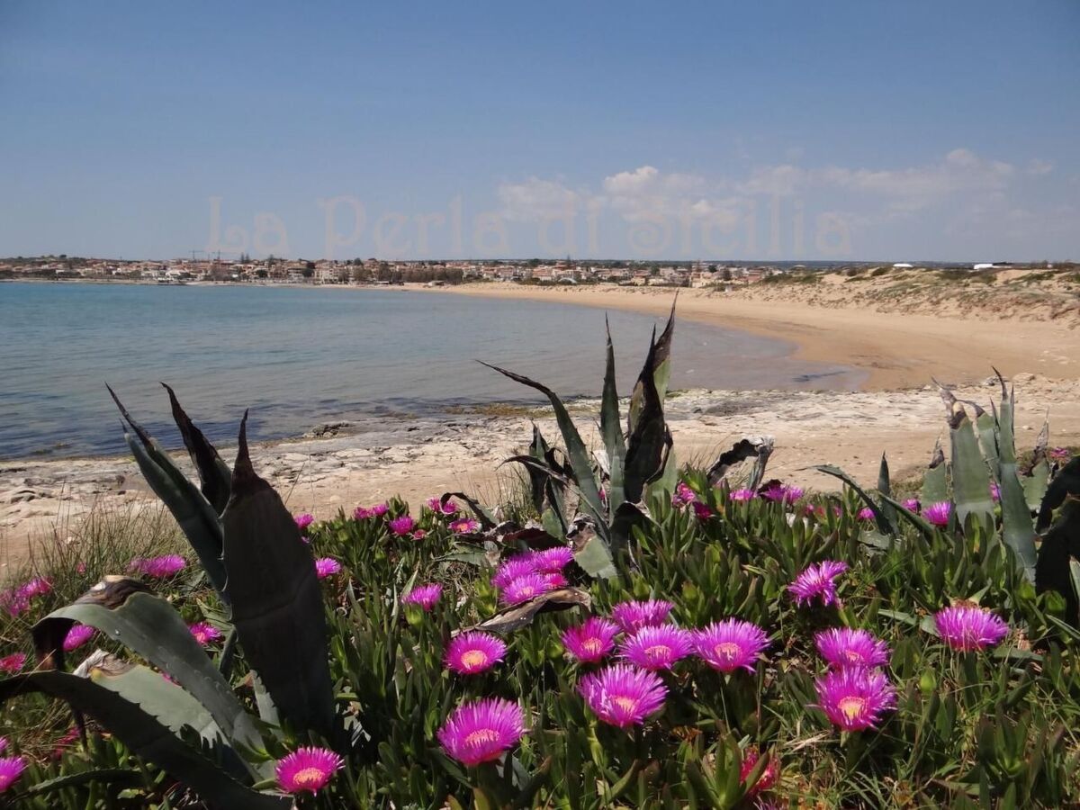 Bungalow La Perla di Sicilia à 30 m de la plage - Photo 39