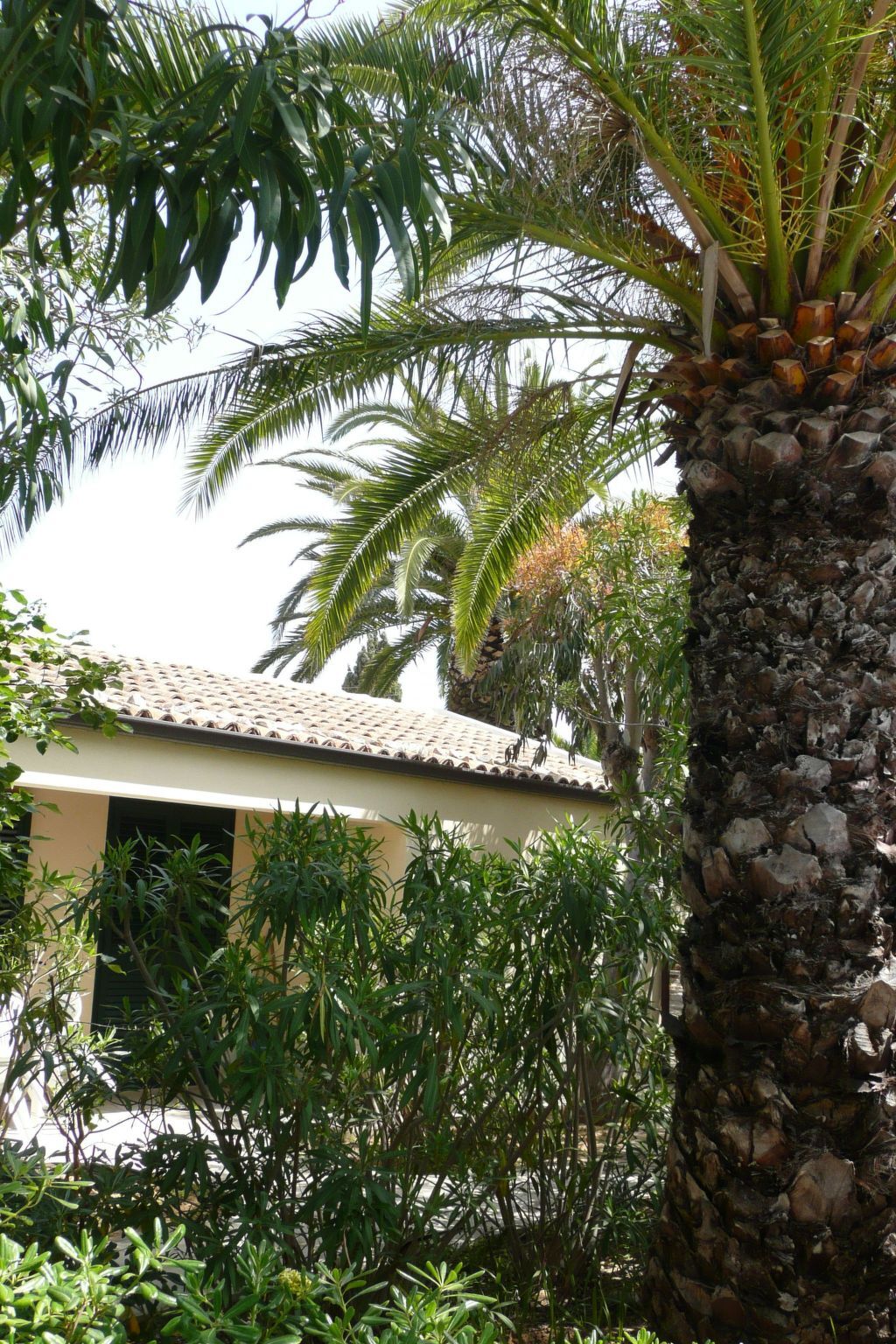 La Perla 9 - Bungalow 70m² plage à Marina di Modica - Photo 13