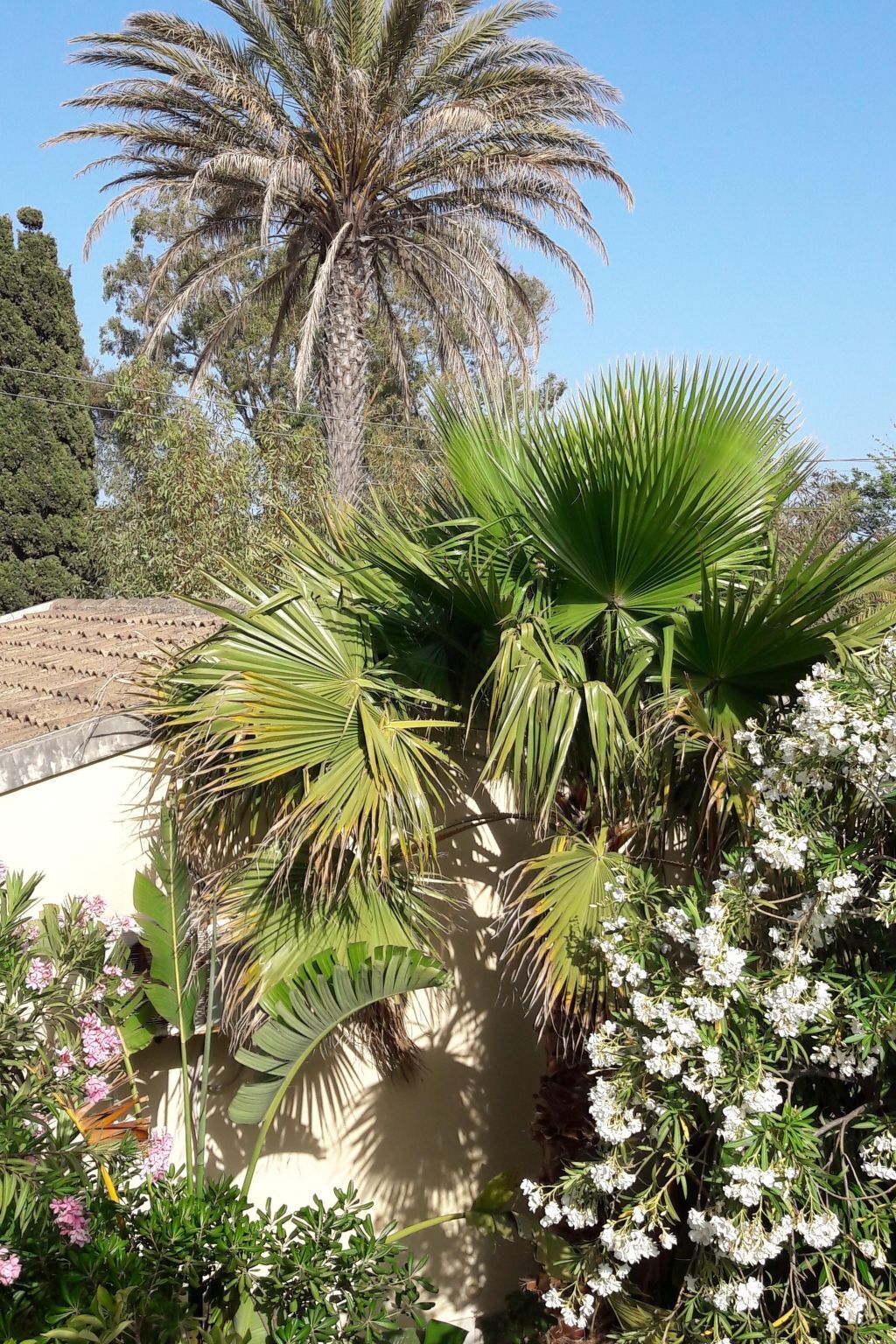 La Perla 9 - Bungalow 70m² plage à Marina di Modica - Photo 24