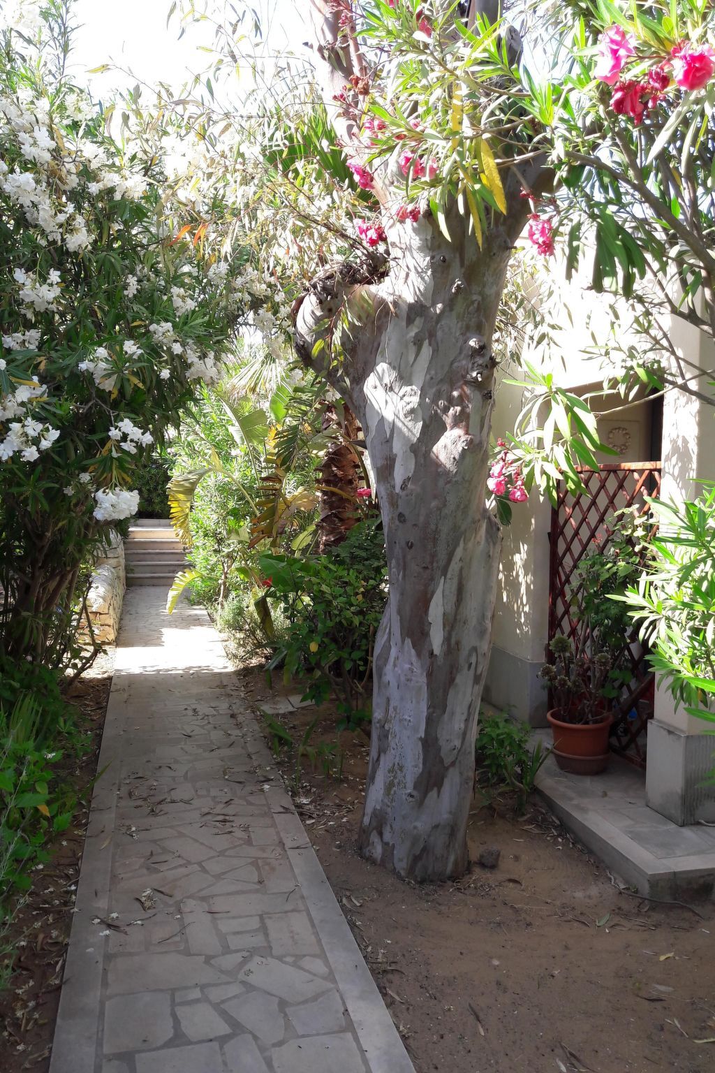 La Perla 9 - Bungalow 70m² plage à Marina di Modica - Photo 34