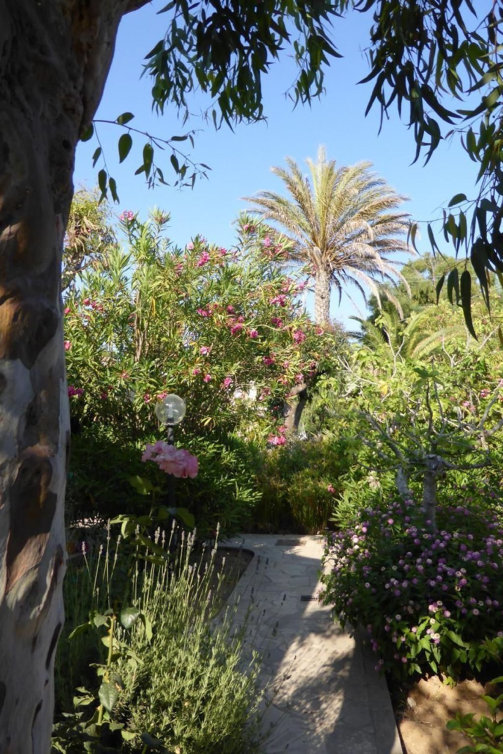 Bungalow La Perla di Sicilia, 30 m de la plage - Photo 37