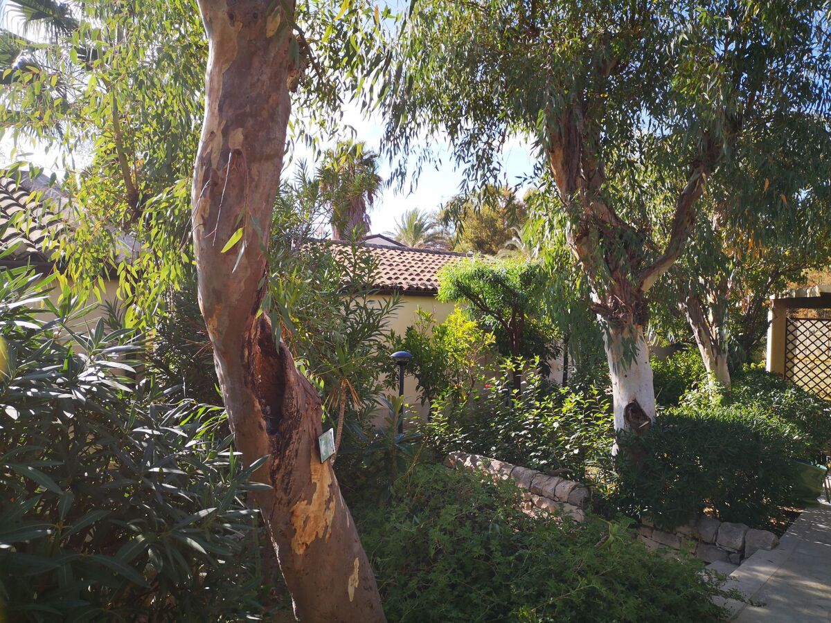 Bungalow La Perla di Sicilia, 30 m de la plage - Photo 38