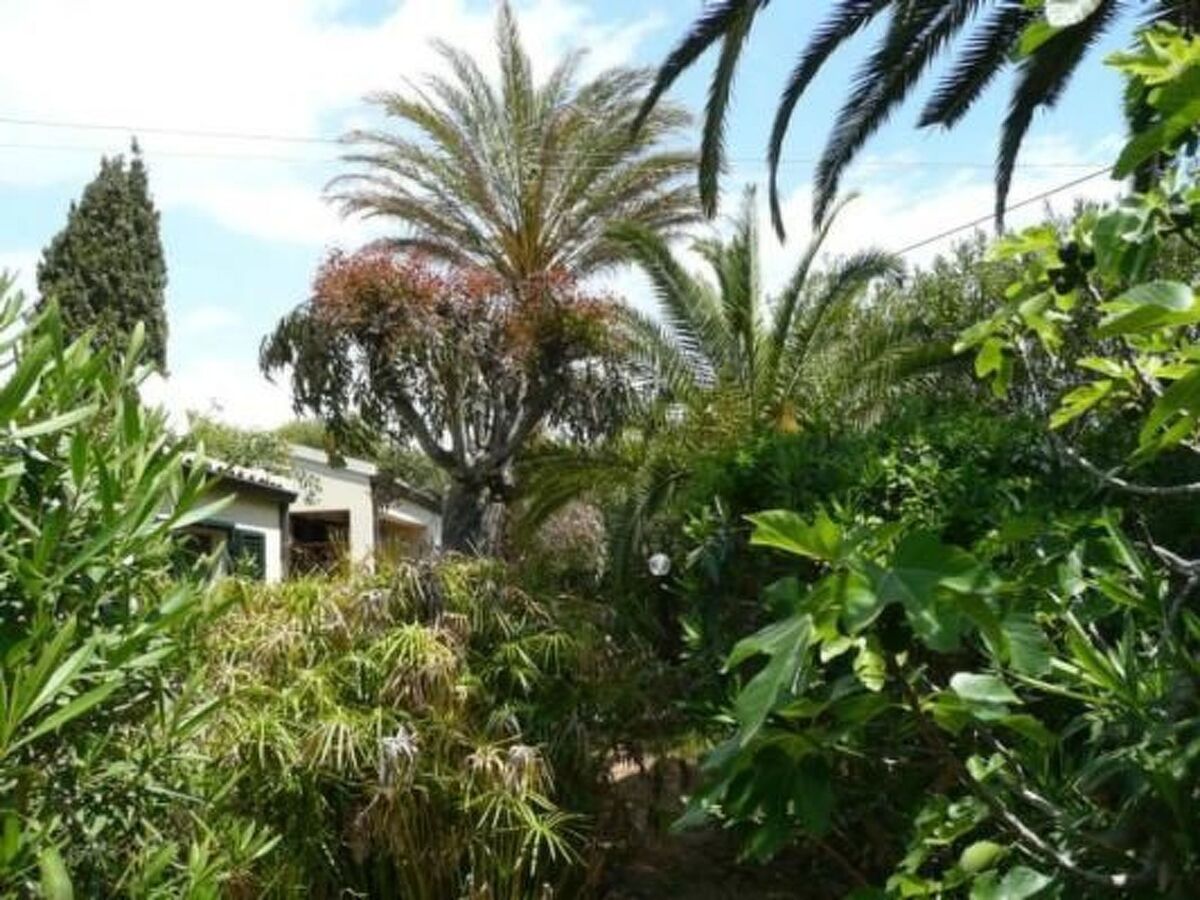 Bungalow La Perla di Sicilia, pieds dans le sable à Marina di Modica - Photo 23