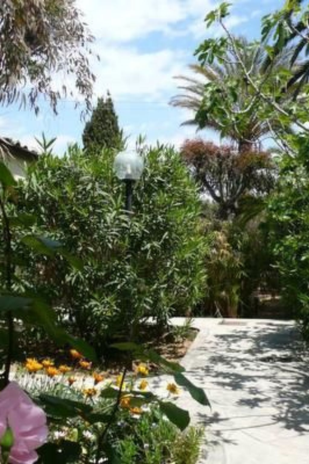 Bungalow La Perla di Sicilia, pieds dans le sable à Marina di Modica - Photo 27