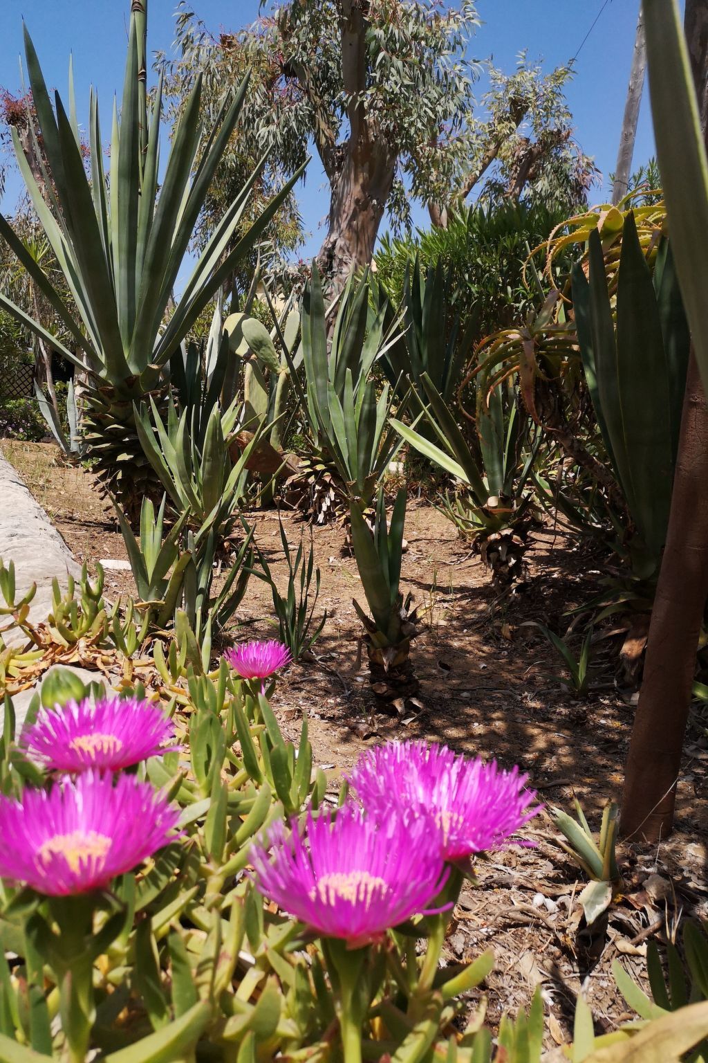 Bungalow La Perla di Sicilia, pieds dans le sable à Marina di Modica - Photo 31