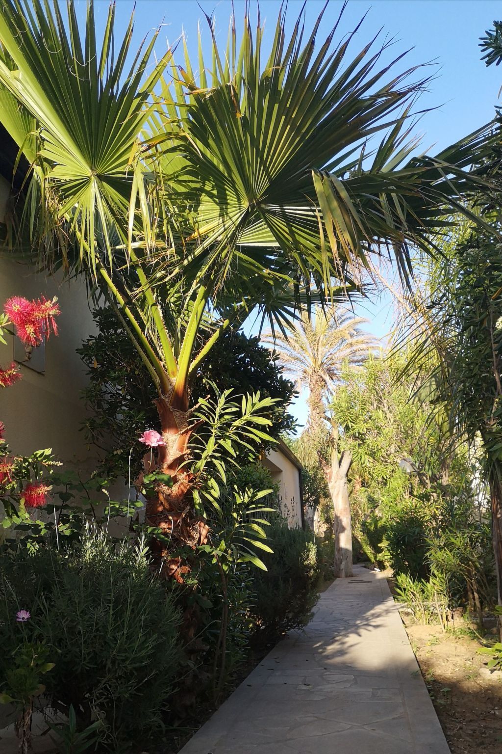 Bungalow La Perla di Sicilia, pieds dans le sable à Marina di Modica - Photo 34