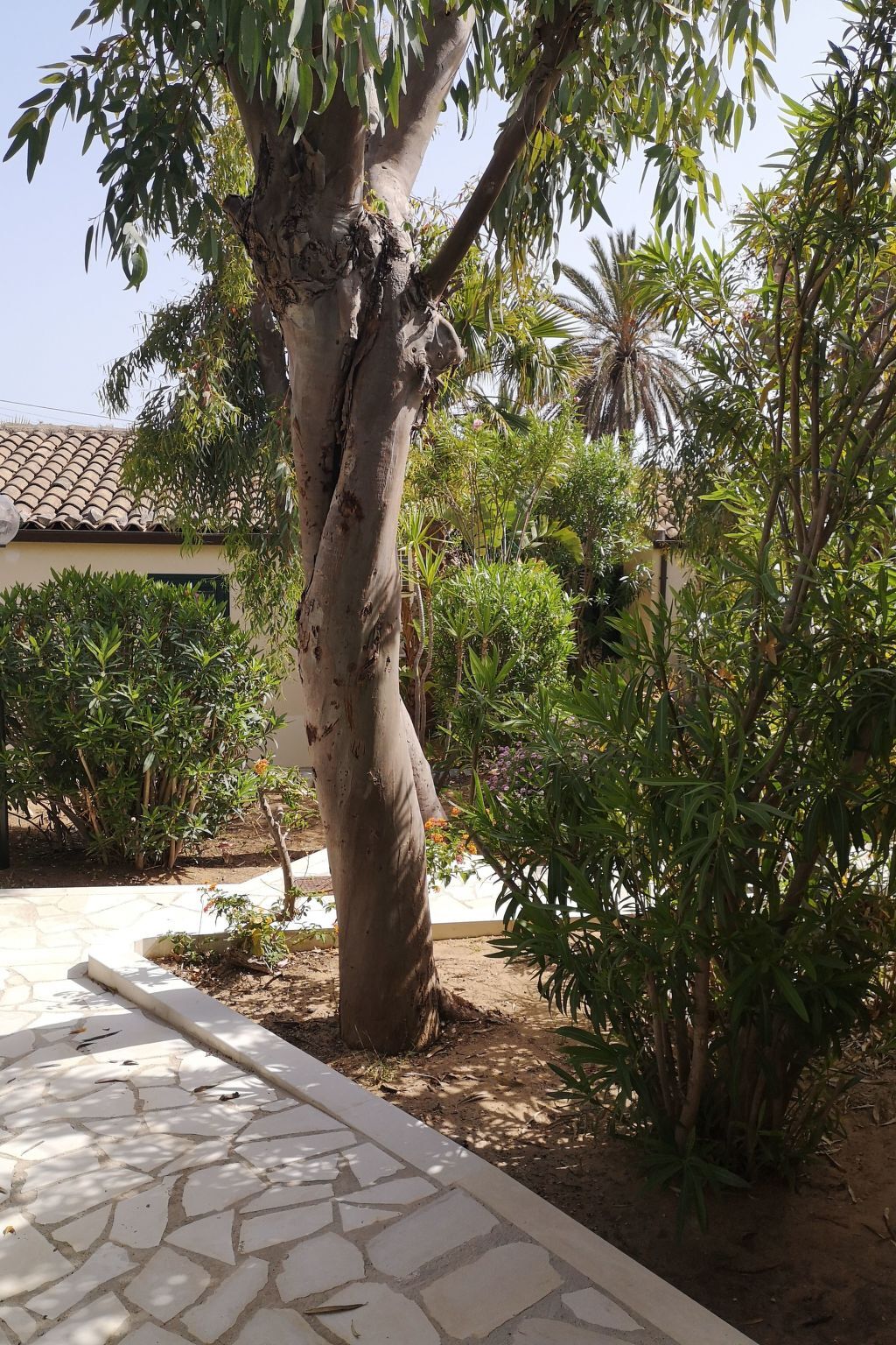 Bungalow 65 m² en résidence, plage à 30 m, Marina di Modica - Photo 15