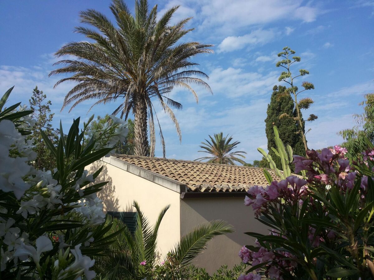 Bungalow La Perla di Sicilia, terrasse face à la plage - Photo 22
