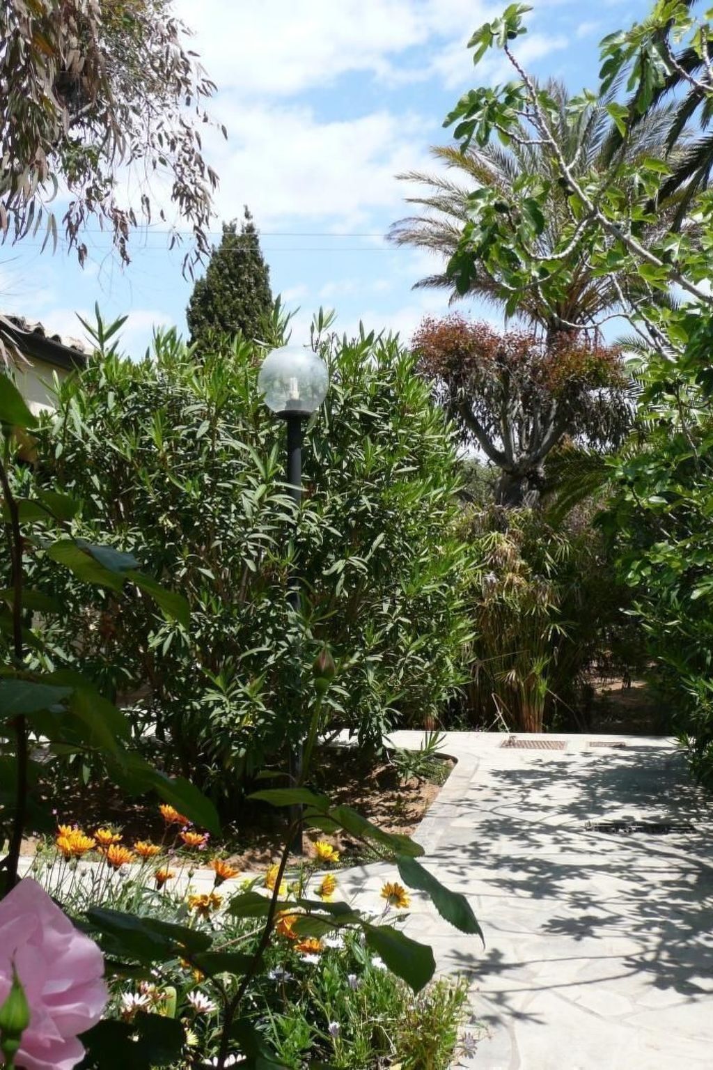 Bungalow La Perla di Sicilia, terrasse face à la plage - Photo 30