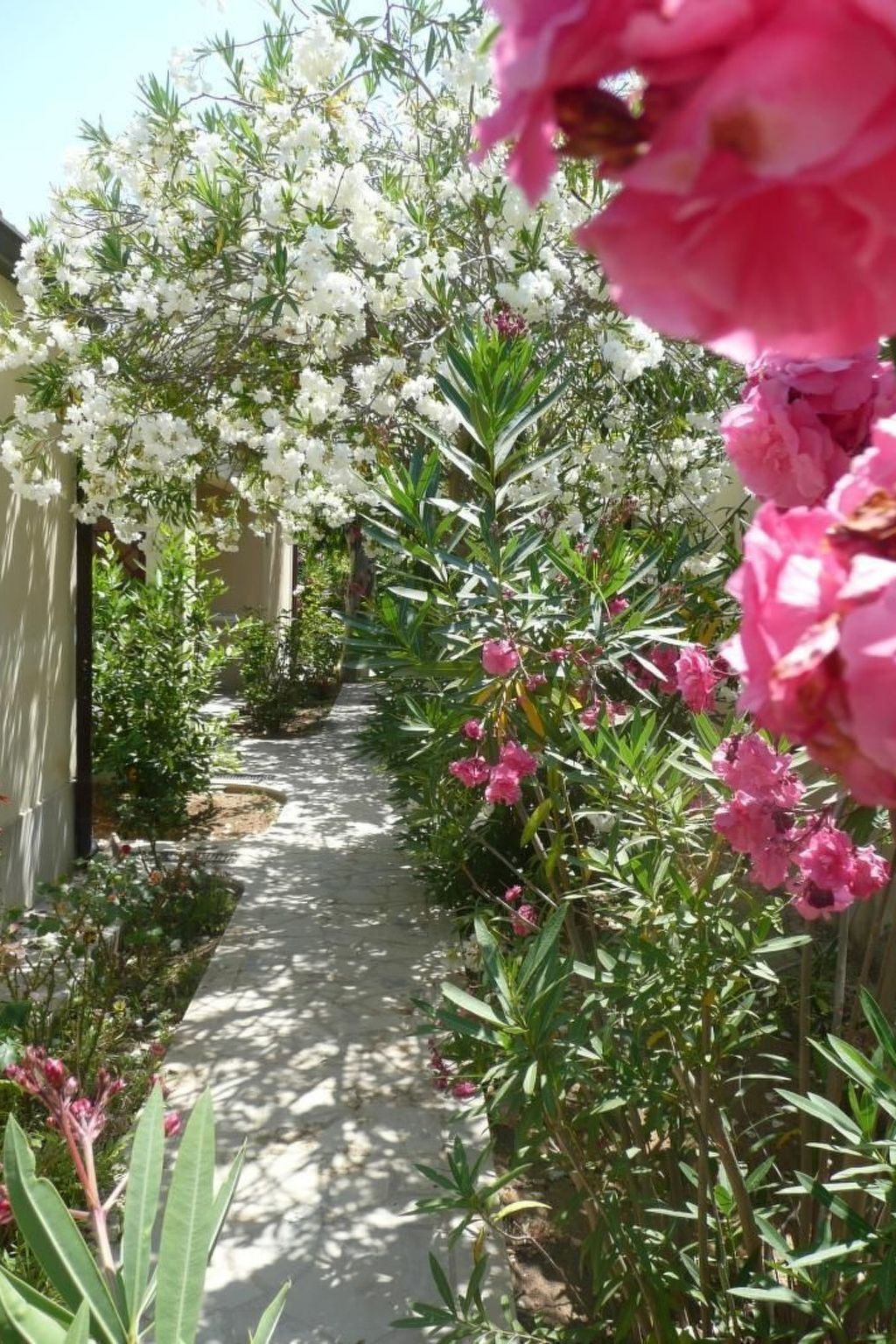 La Perla 22 - Bungalow sur plage de sable à Marina di Modica - Photo 16