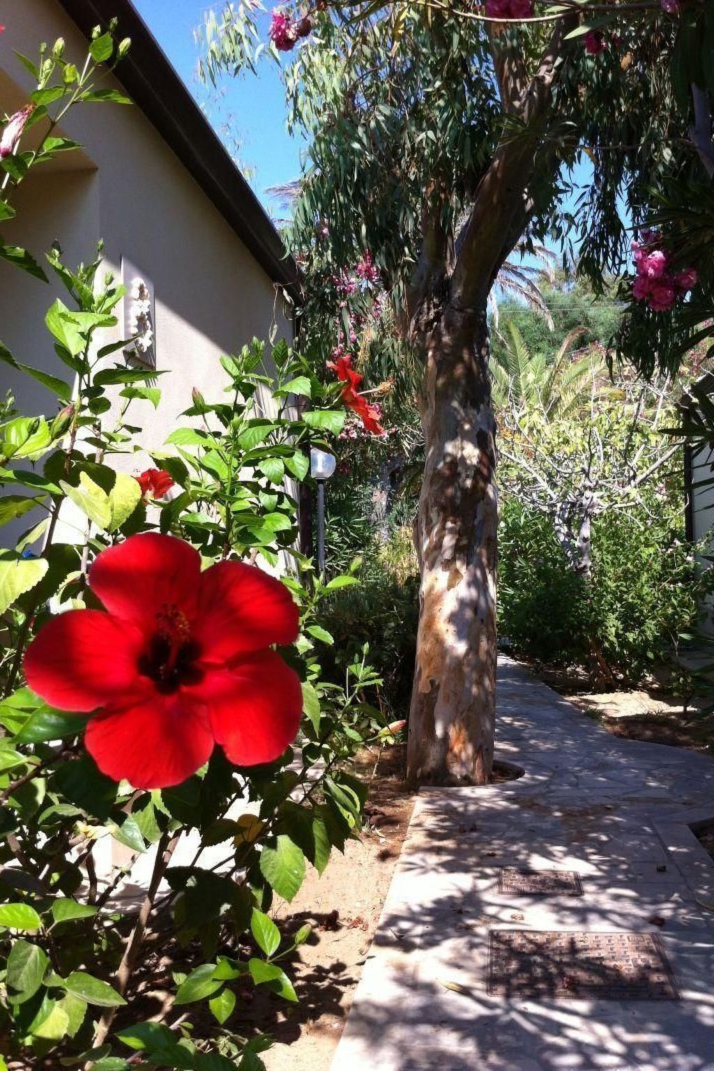 Bungalow La Perla 8 à Marina di Modica, 30 m plage - Photo 38