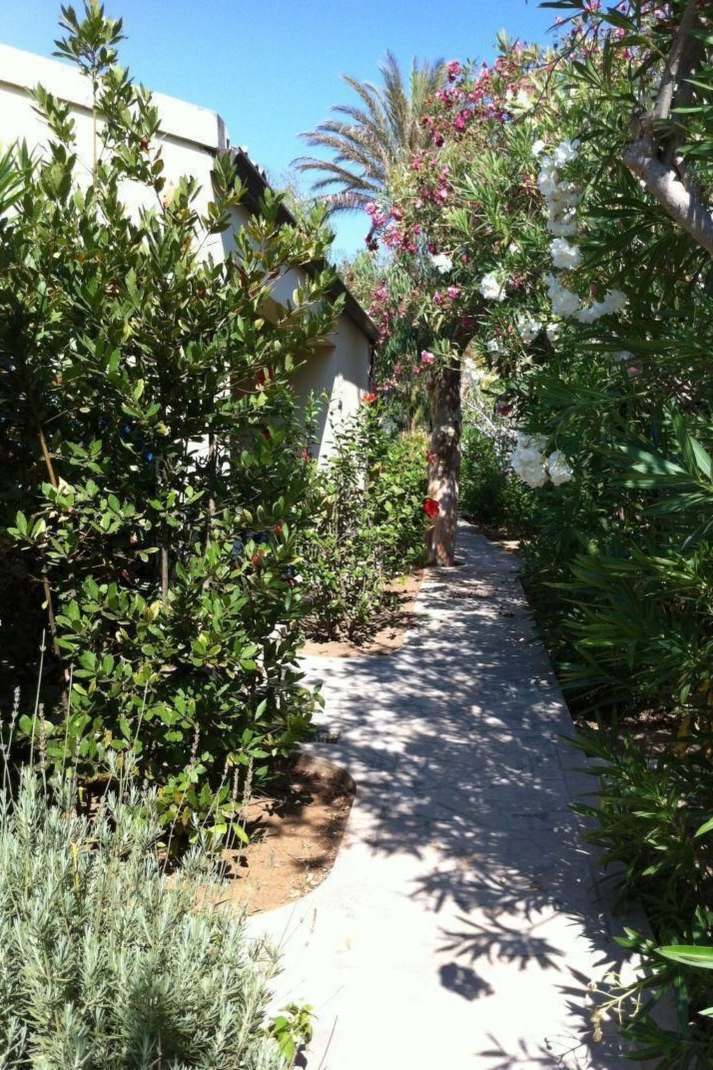 Bungalow La Perla 8 à Marina di Modica, 30 m plage - Photo 39