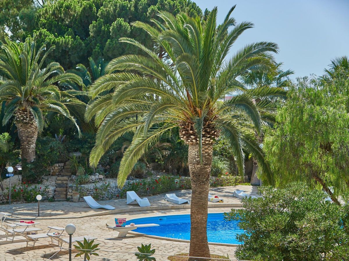 Villa 9 chambres, piscine et parc 15 000 m² à Marina di Modica - Photo 35