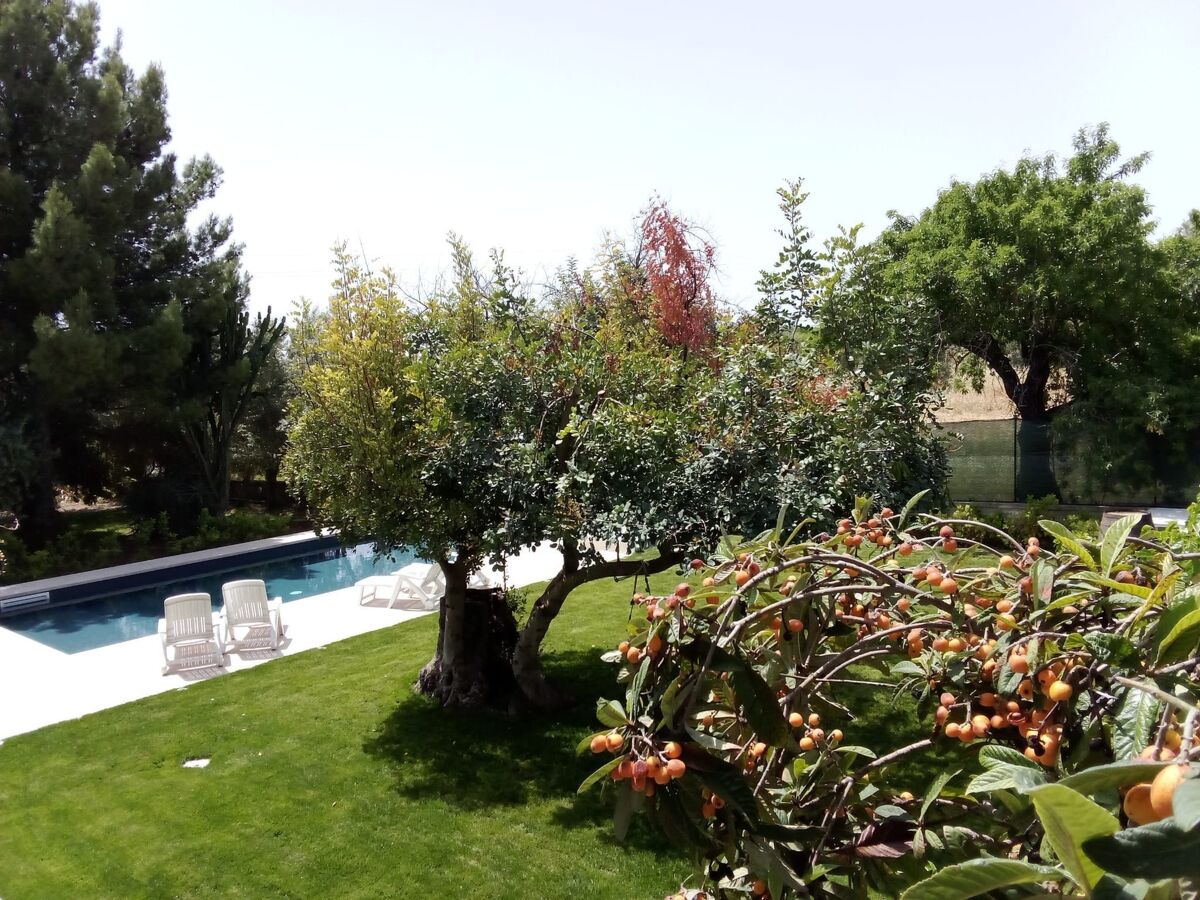 Zacchitella Gardenhouse à Rosolini – 8 pers, piscine - Photo 42