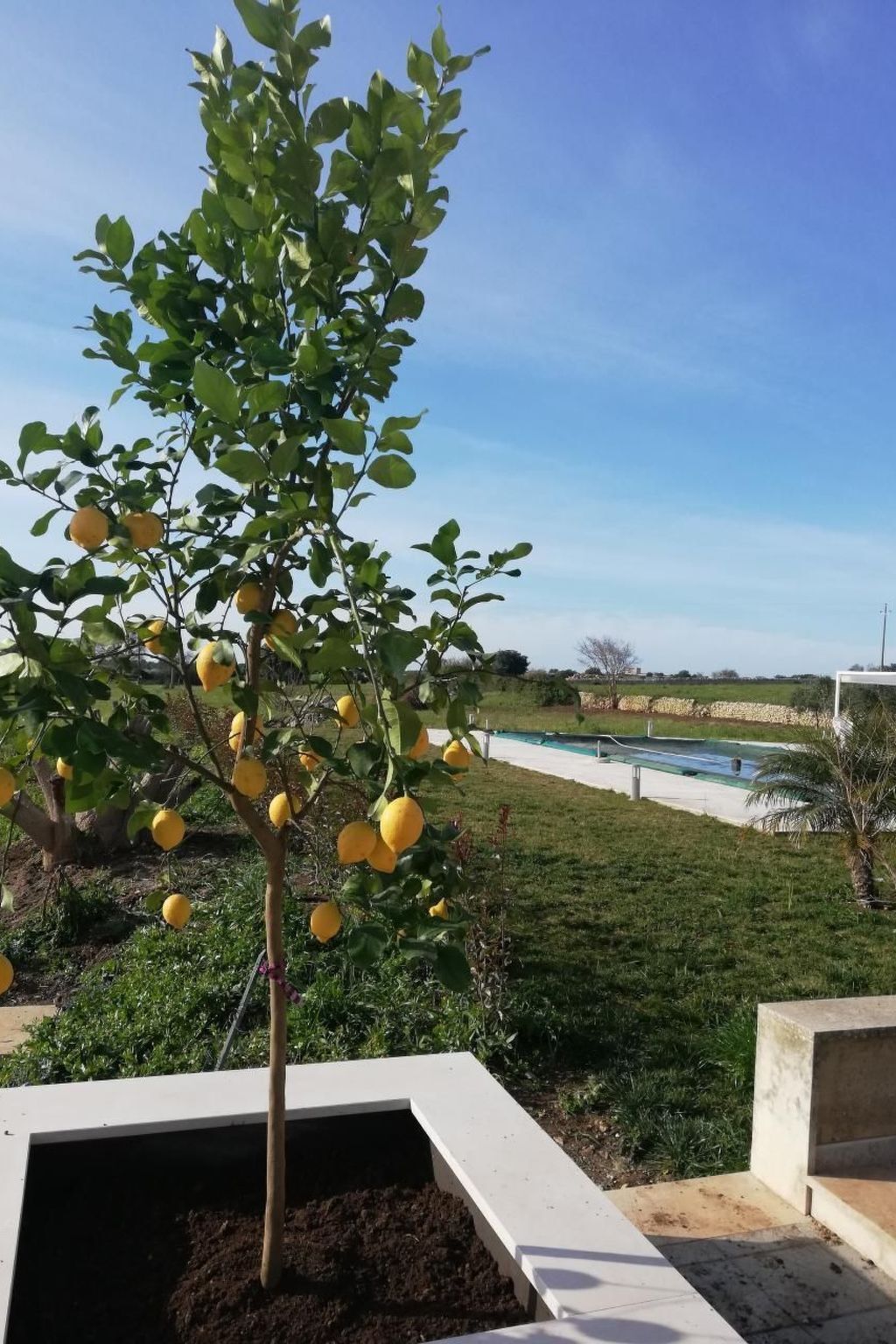 Casa Sbrizza, maison 9 pers. avec piscine en Sicile - Photo 16