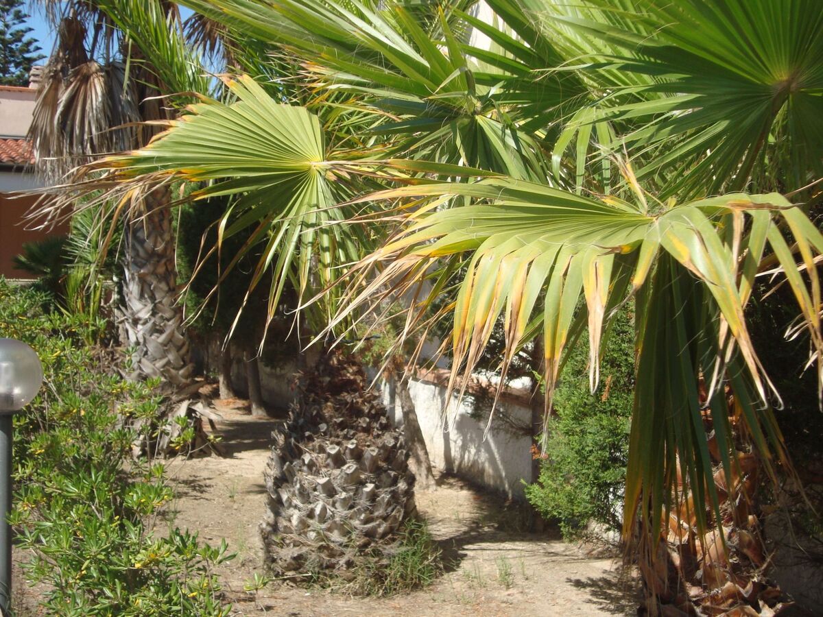 Villa Degli Angeli, maison à 30m de la plage d'Ispica - Photo 6