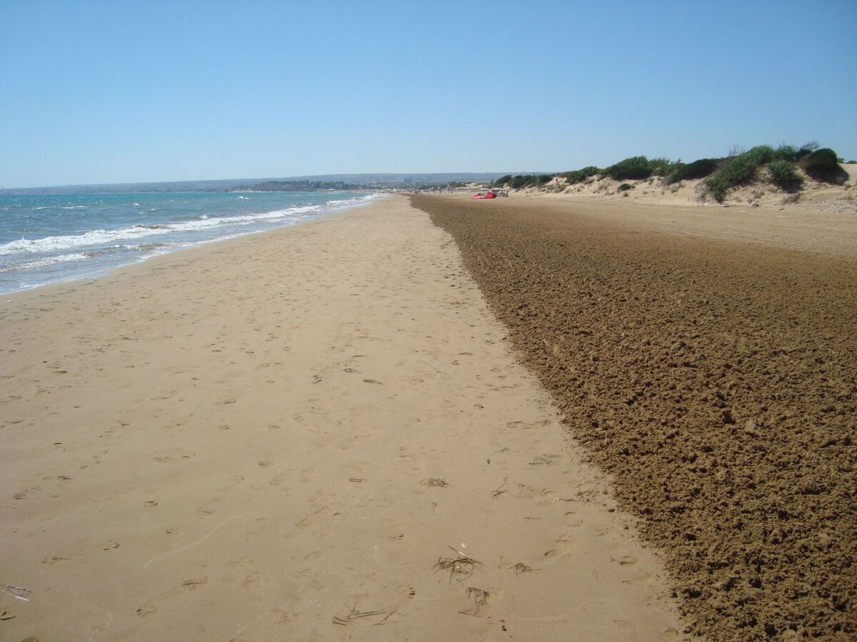 Villa Degli Angeli, maison à 30m de la plage d'Ispica - Photo 12