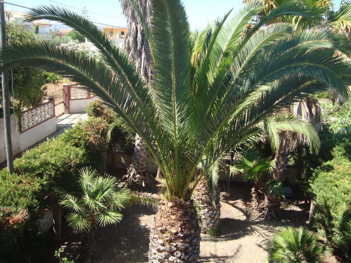 Villa Degli Angeli, maison à 30m de la plage d'Ispica - Photo 32