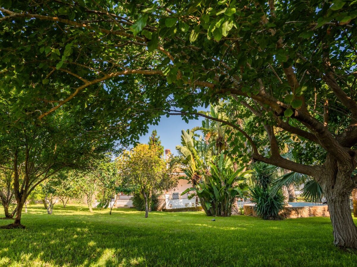 Maison 3 chambres à Ispica, jardin 4000 m² et parking - Photo 16