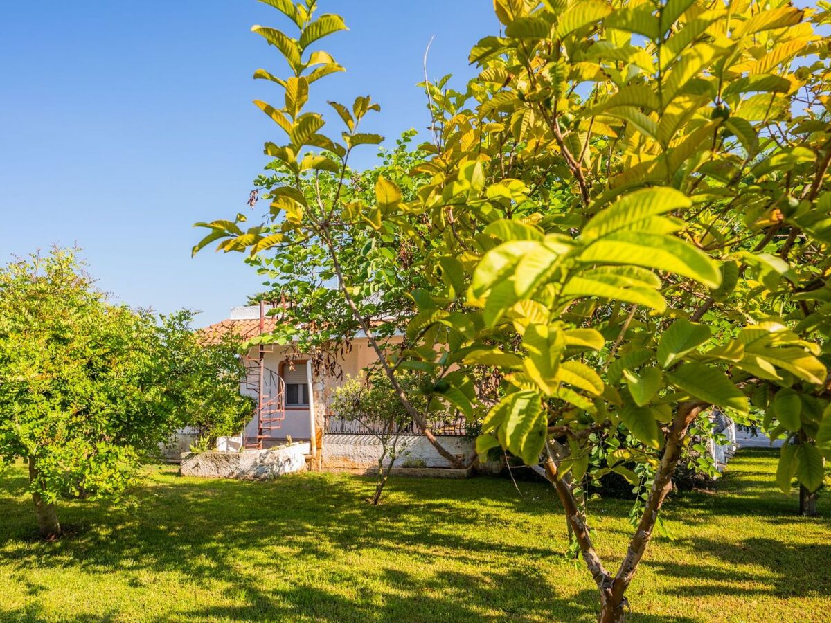 Maison 3 chambres à Ispica, jardin 4000 m² et parking - Photo 17