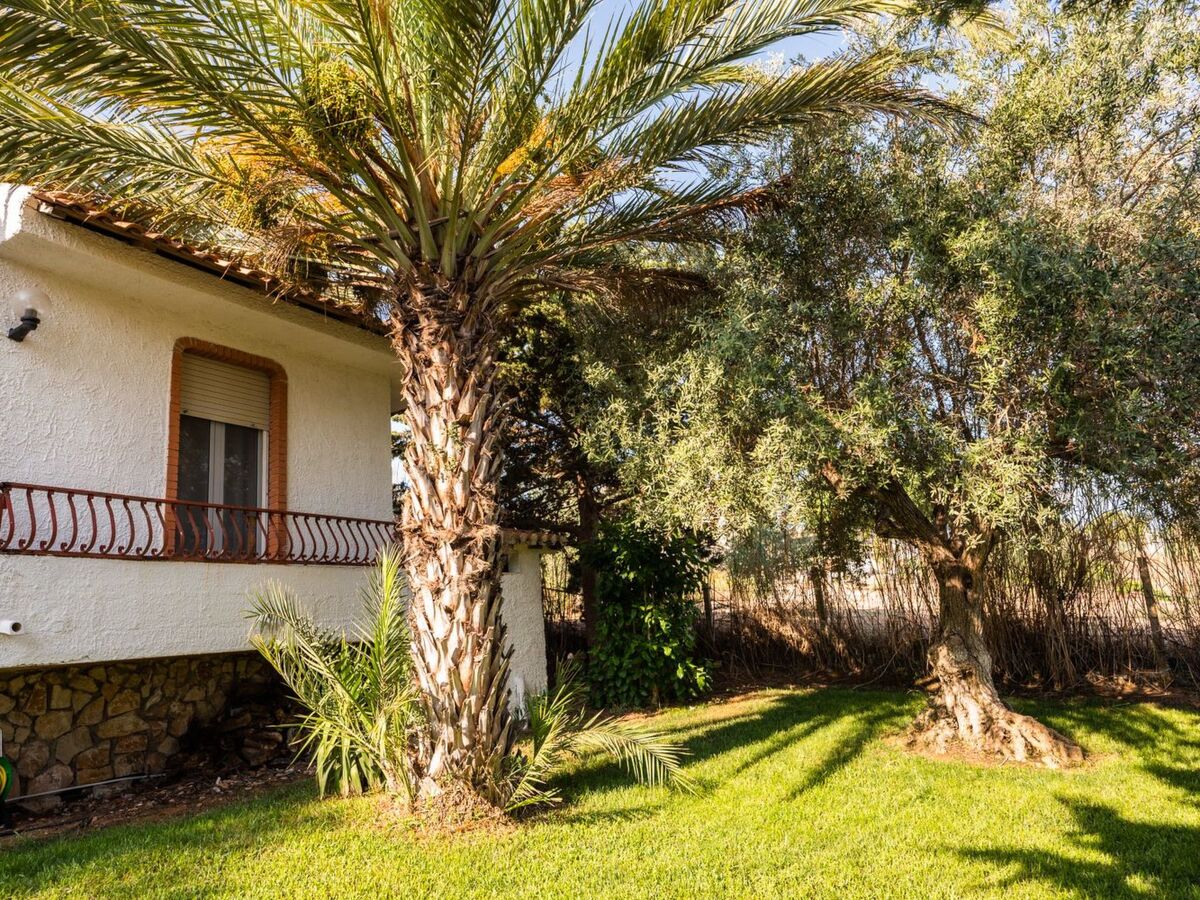 Maison 3 chambres à Ispica, jardin 4000 m² et parking - Photo 22